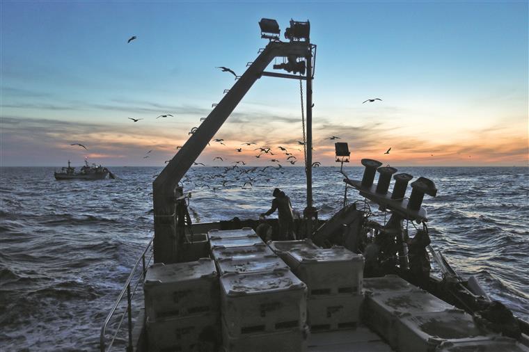 Pescadores suspendem paralisação e voltam ao mar esta noite em Peniche