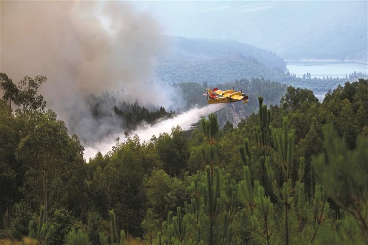 Incêndios. Este fim de semana há dois aviões a realizarem voos de vigilância durante