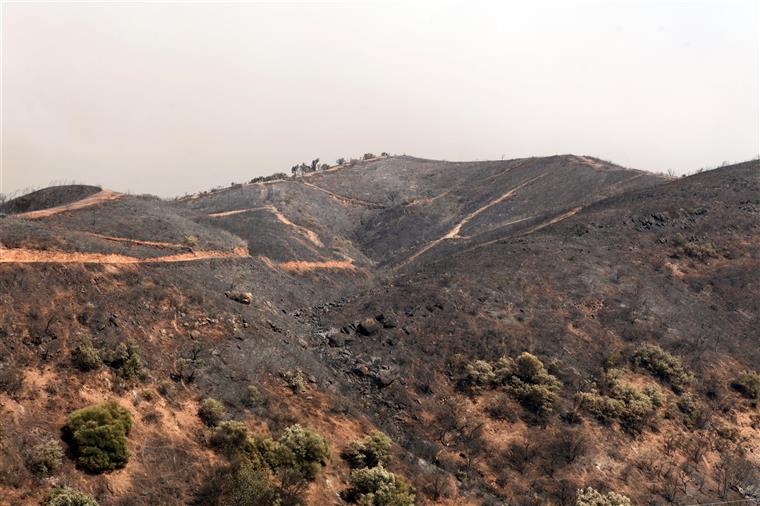 Monchique. Confederação das pequenas e médias empresas considera que o incêndio em Monchique afetou “fortemente” os negócios