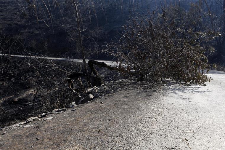 “É natural que comece a haver uma retração das forças no terreno, mas de forma muito ligeira e muito gradual”