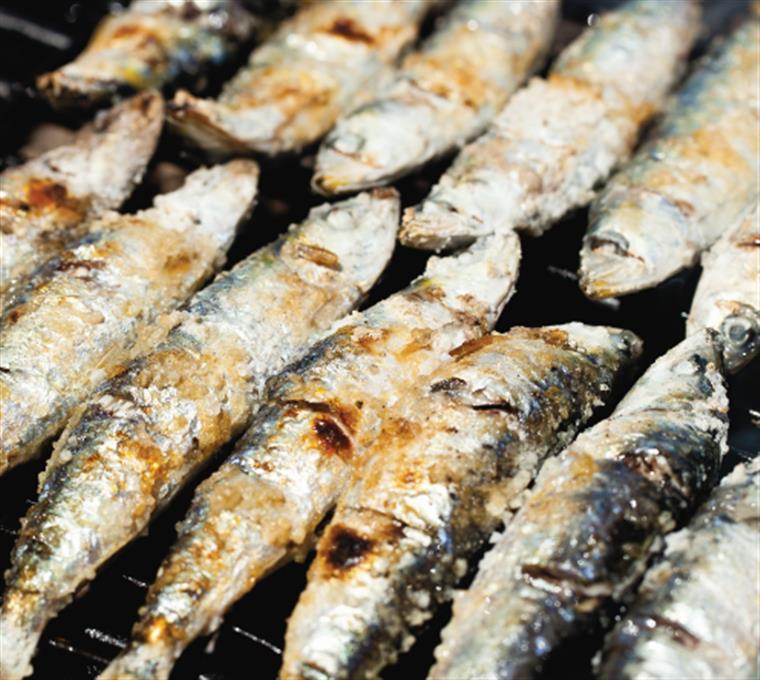 Apreendidas mais de 3,6 toneladas de sardinha em Sines