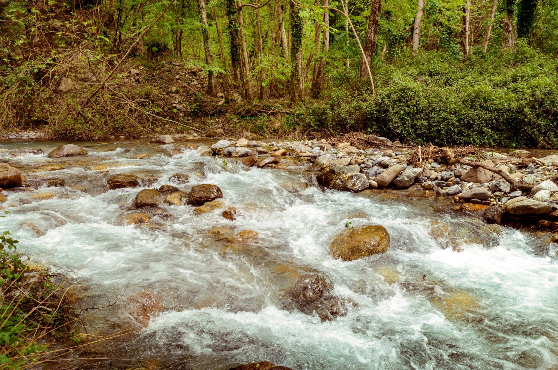 Cinco pessoas morreram num parque natural em Itália devido ao mau tempo