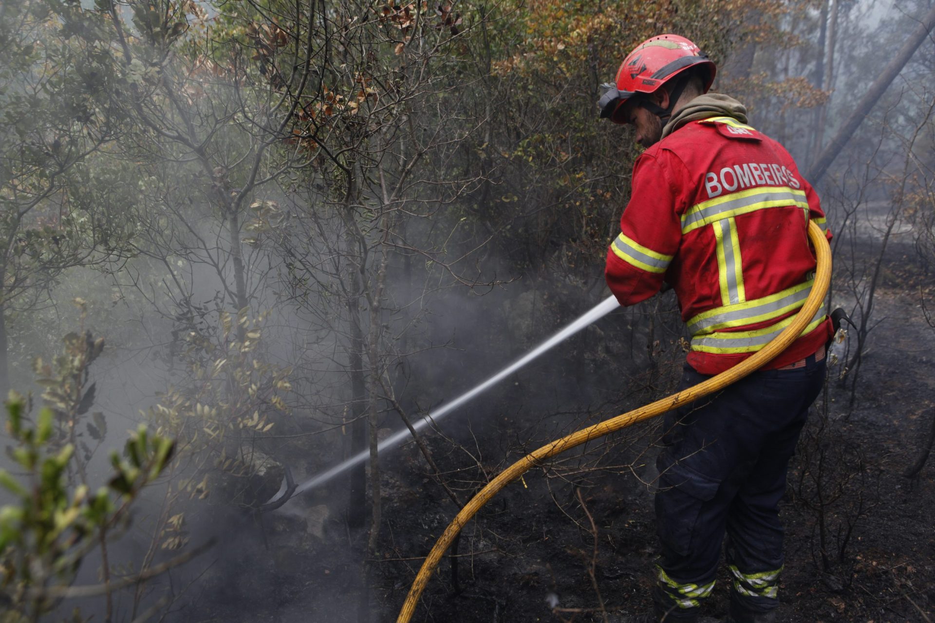 Esta quarta-feira há 50 concelhos de 12 distritos do país que apresentam risco máximo de incêndio