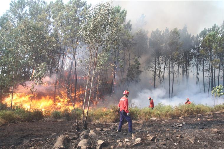 Portugal. 50 concelhos em risco máximo de incêndio