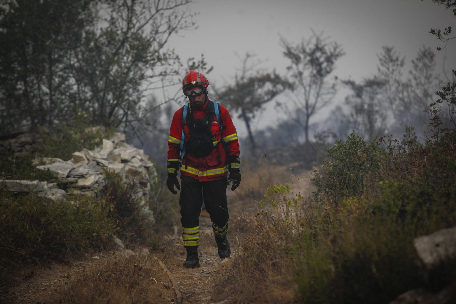 Serra da Estrela. Incêndio está dominado