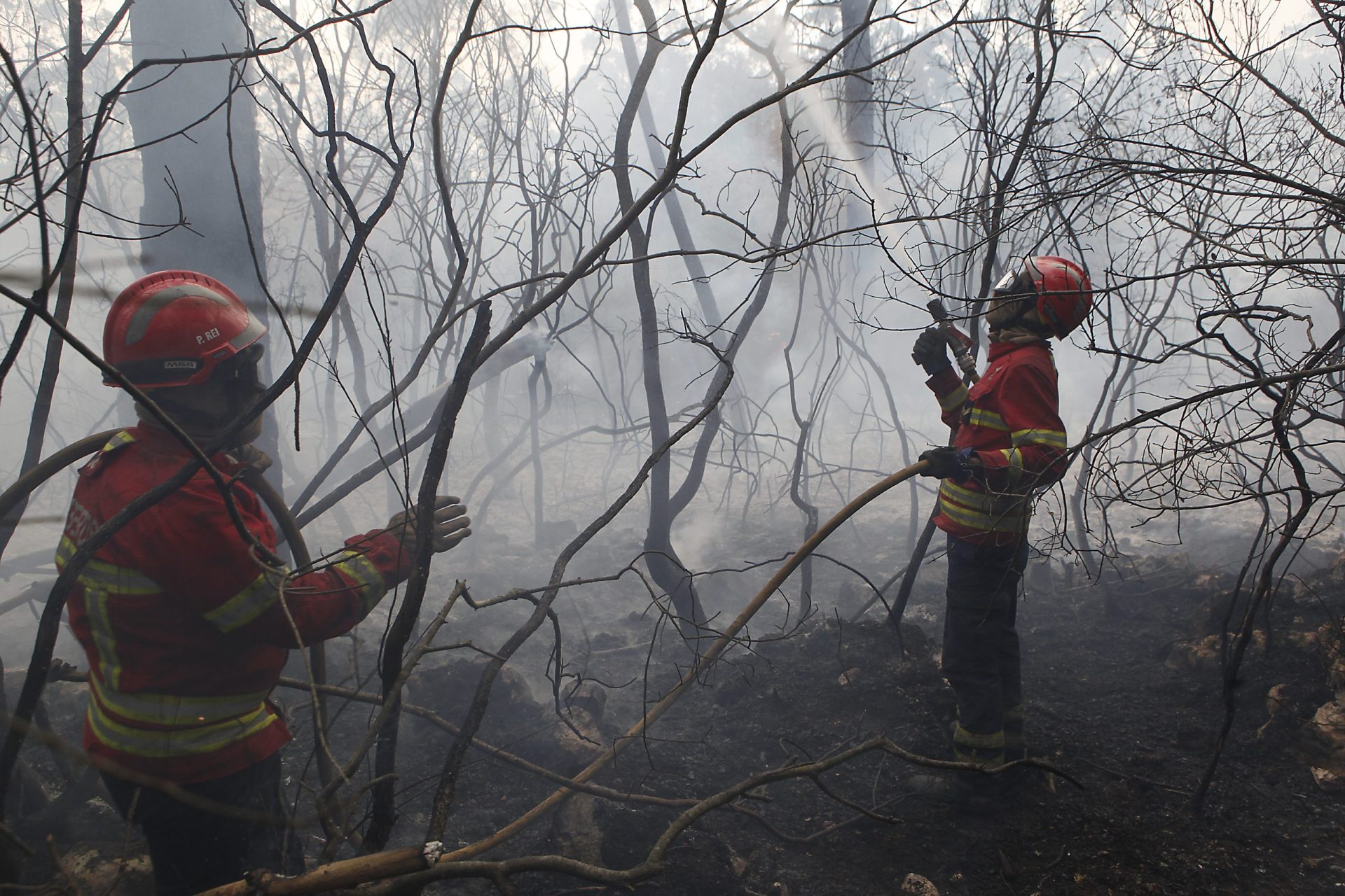 Mensagem de alerta de incêndios demora  até 12 horas a chegar ao destinatário