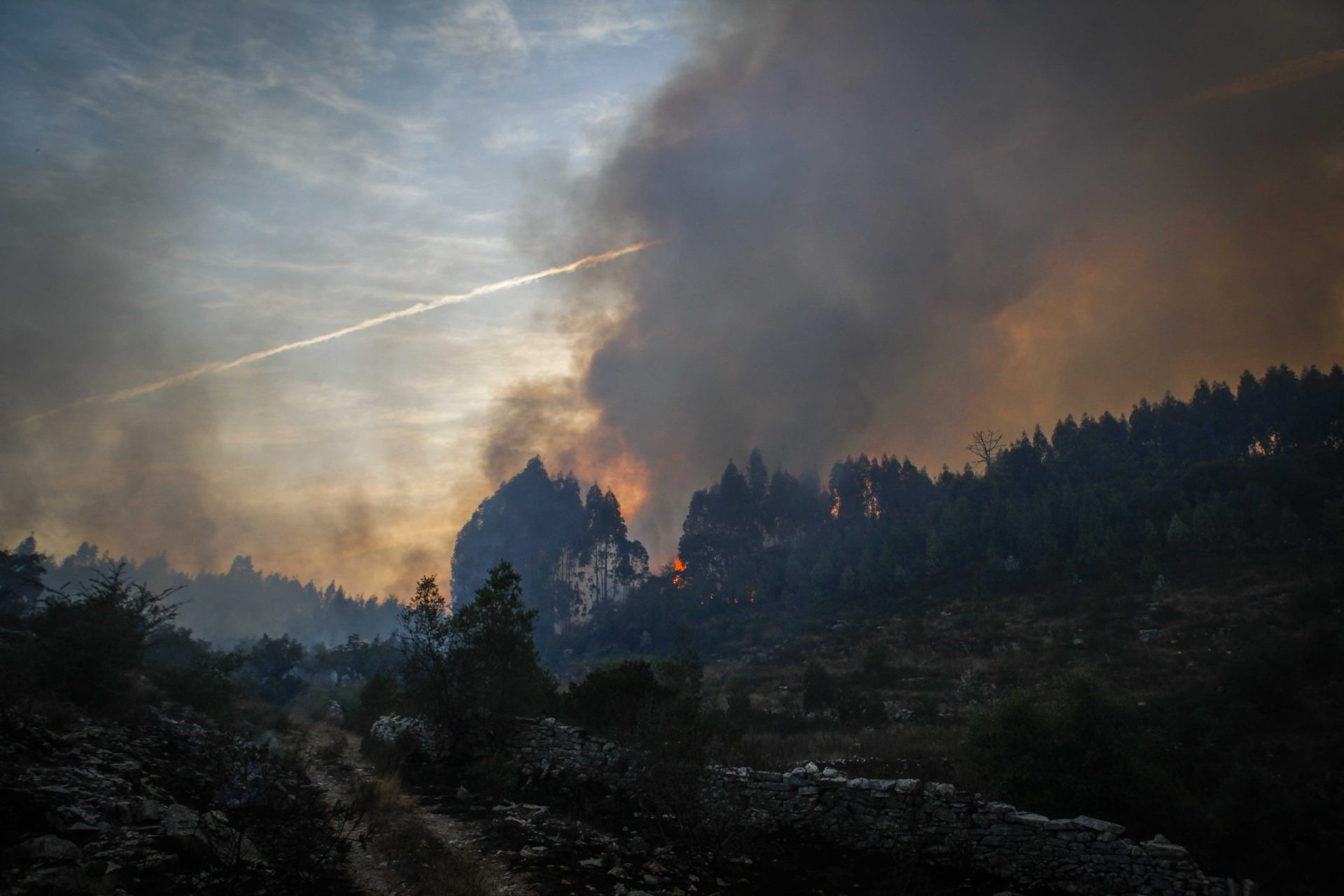 Monchique. Localidades do concelho Silves foram evacuadas