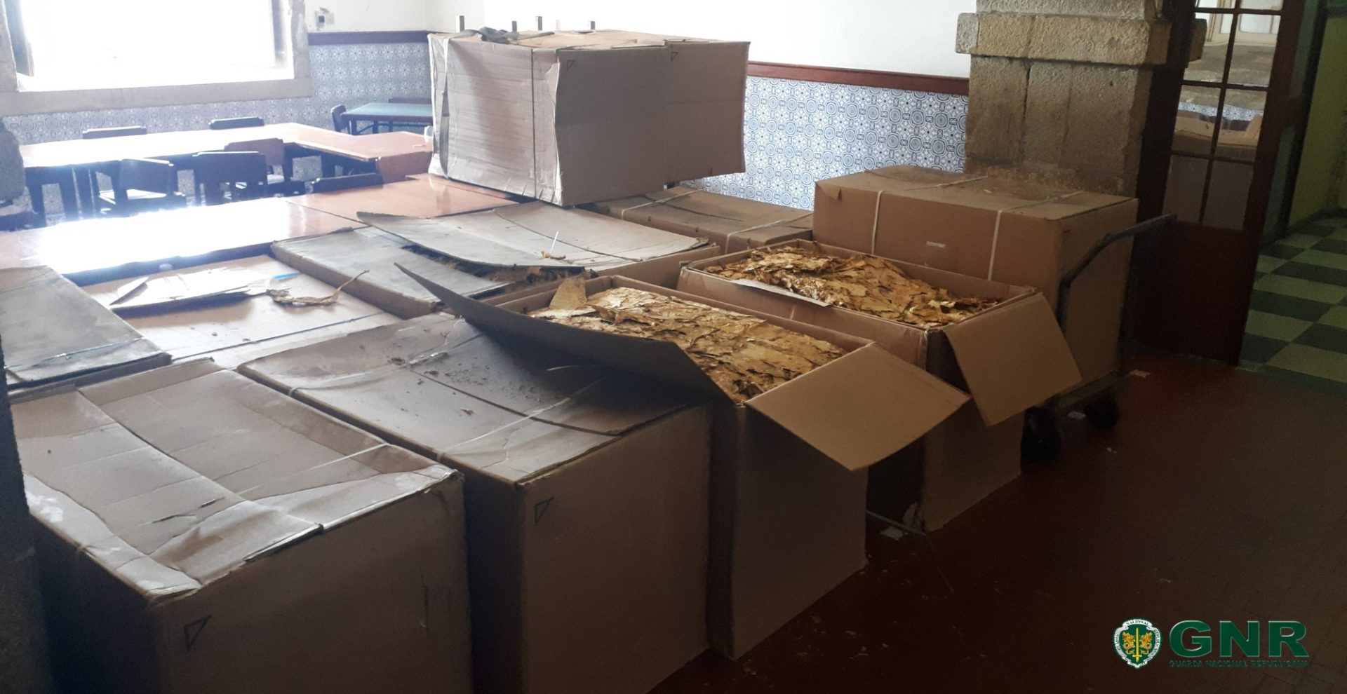 GNR apreende 1100 quilos de folhas de tabaco