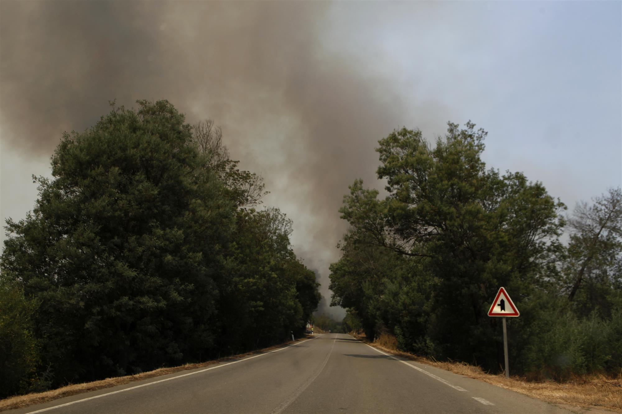 Monchique. Proteção Civil viola regras definidas depois de Pedrógão