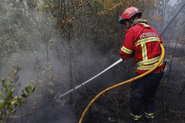 Portugal. Dez concelhos em risco máximo de incêndio