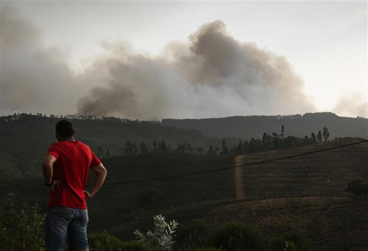 Monchique. Governo afirma que mais de 300 famílias continuam sem ligações devido ao incêndio