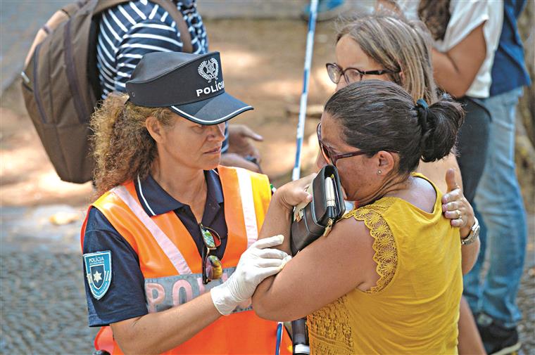 Funchal. Câmara aguarda esclarecimentos da queda de árvore que matou 13 pessoas