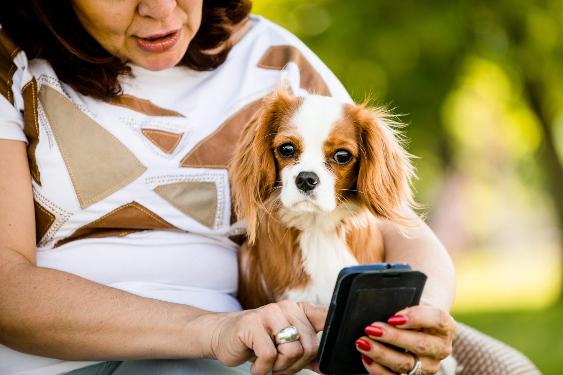 Largue o telemóvel que o seu cão está a sentir-se abandonado