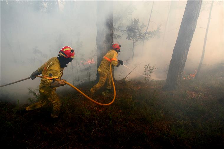 IPMA coloca 20 concelhos em risco máximo de incêndio