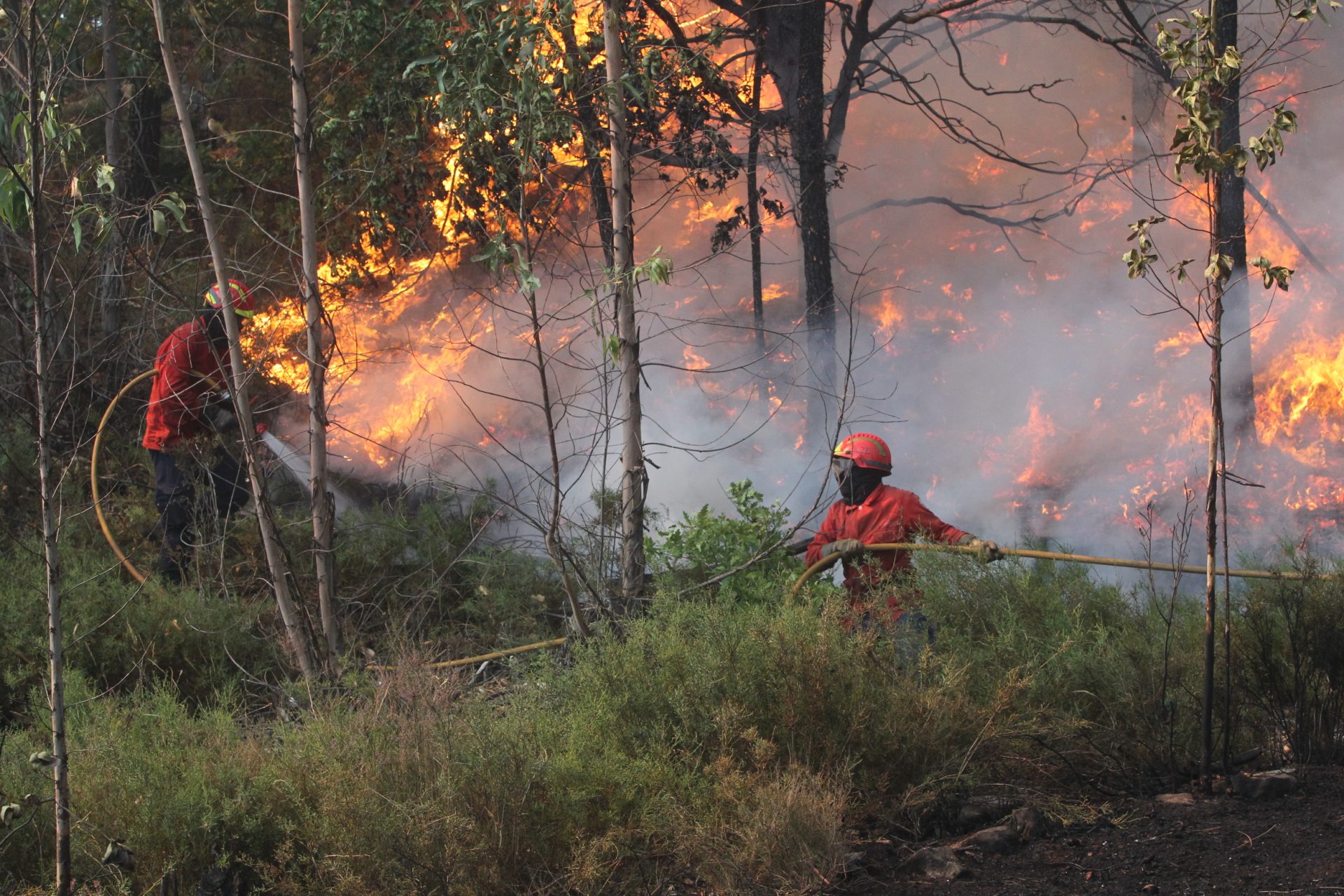 150 bombeiros combatem incêndio em Vila Velha de Ródão