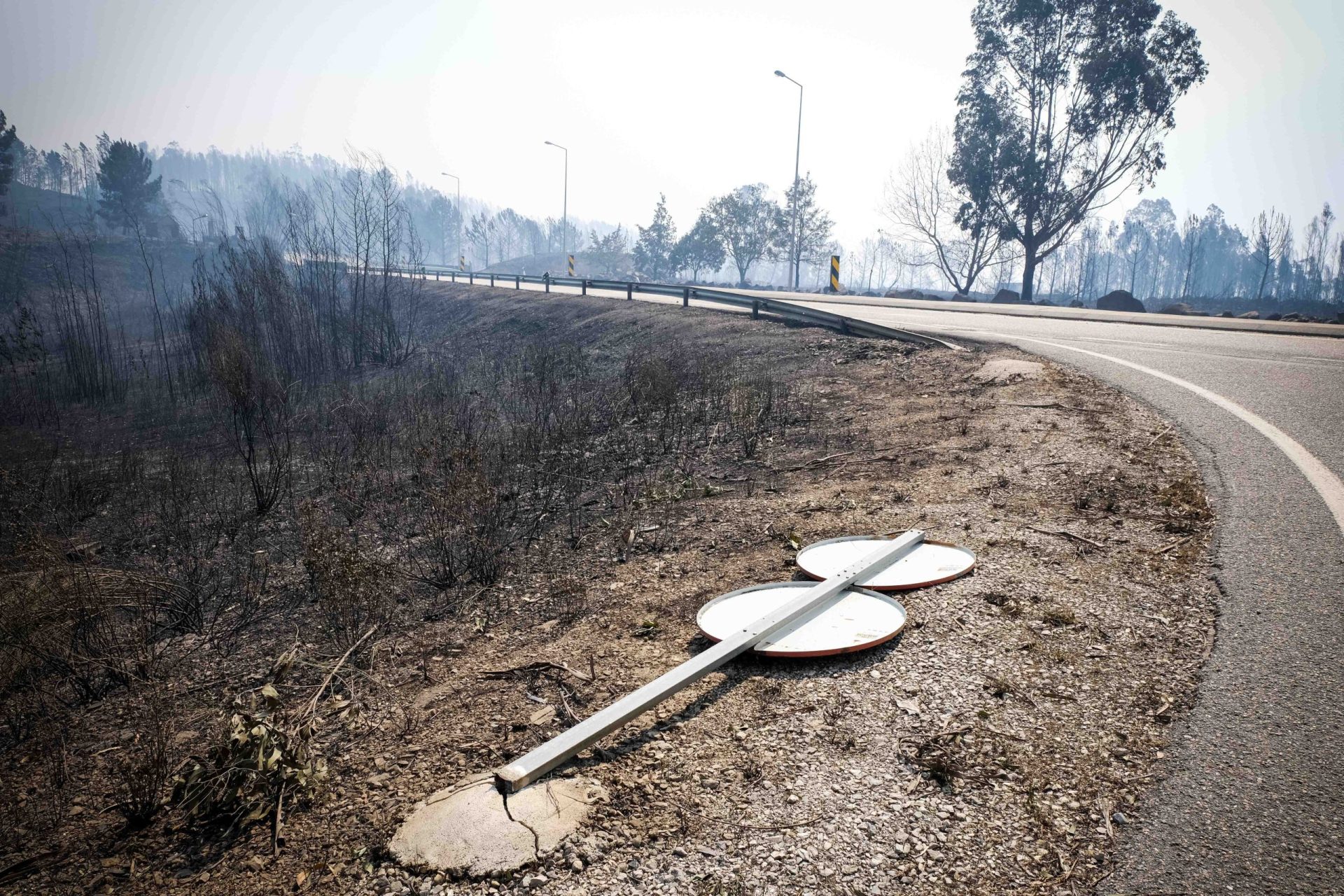 Pedrógão Grande. MP culpa Proteção Civil pelas mortes dos incêndios