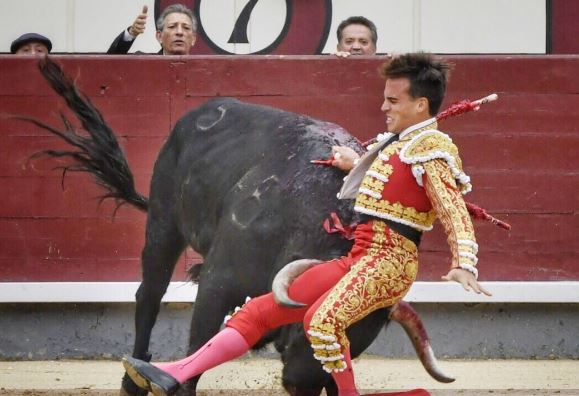 Toureiro em estado grave após ser colhido por touro em Madrid