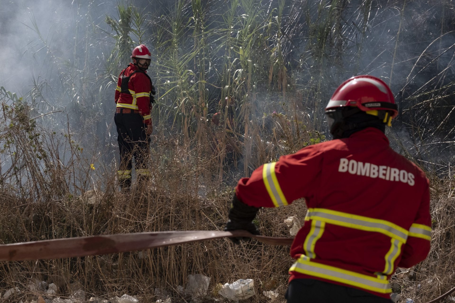 Cinco feridos e 50 pessoas retiradas de casas em Sintra devido a “imprevisibilidade do incêndio”