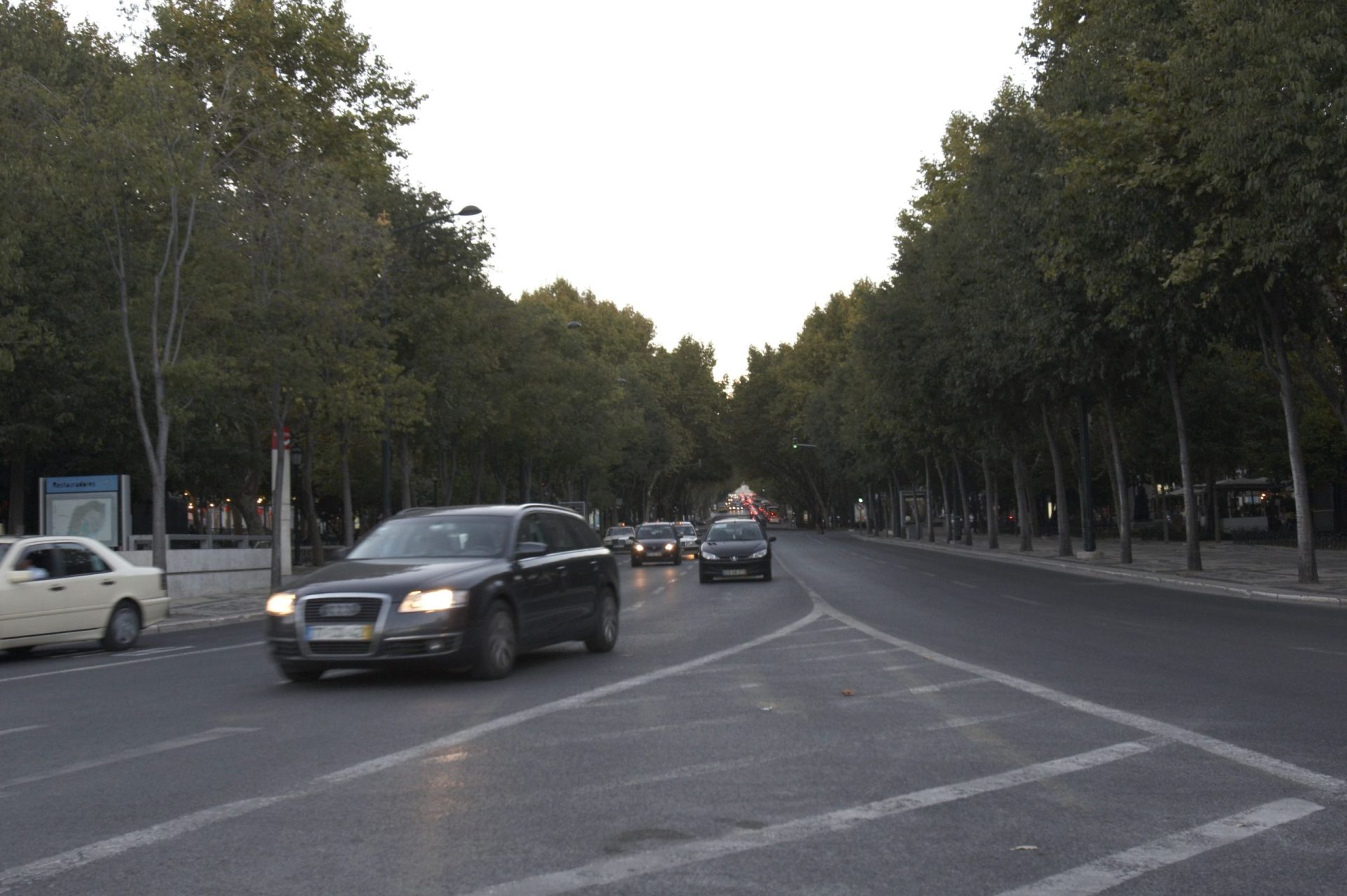 Comemorações do 1º. de Dezembro fecham Avenida da Liberdade ao trânsito