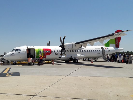 Voo da TAP Bilbau-Lisboa cancelado. Avião choca com águia durante descolagem