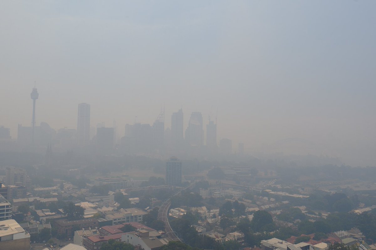 Sydney está coberta com nuvem de fumo tóxica devido a incêndios