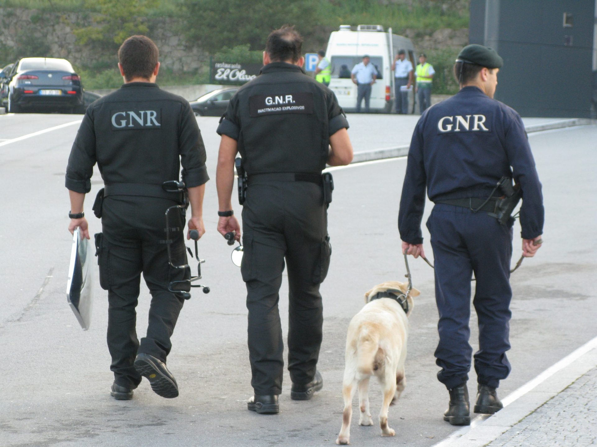 Homem de 80 anos detido por violência doméstica em Torres Vedras