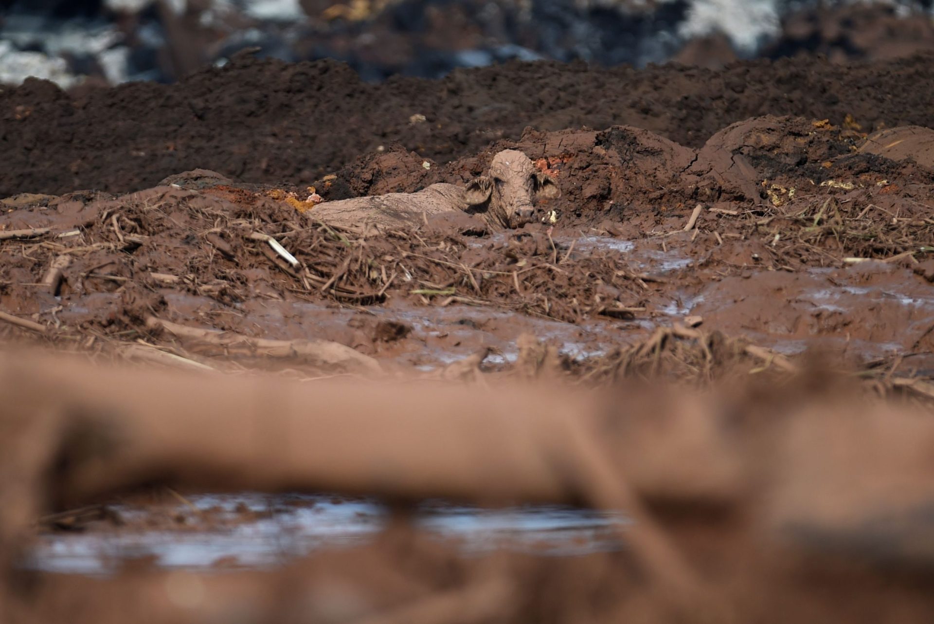 Imagens do monte de lama depois da rutura de uma barragem no Brasil