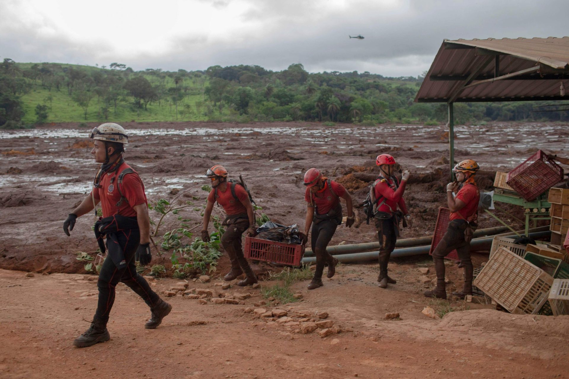 Brasil. Número de vítimas mortais devido a rutura de barragem sobe para 37