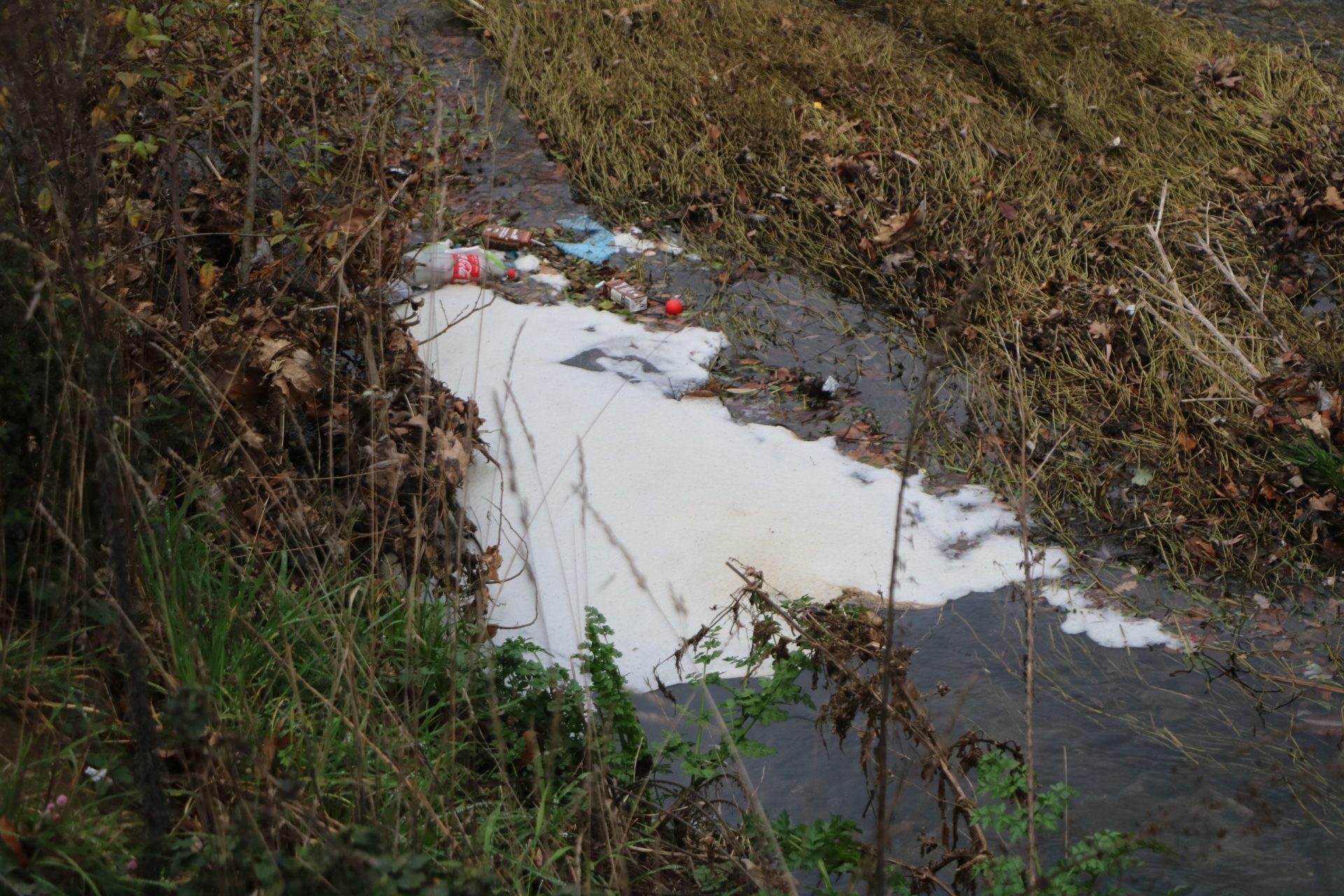 Mais uma descarga poluente no Rio Este em Braga