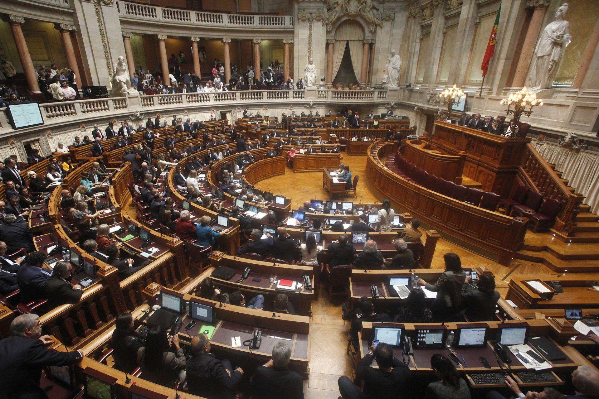 Há uma nova profissão em Portugal e já foi aprovada pela Assembleia da República