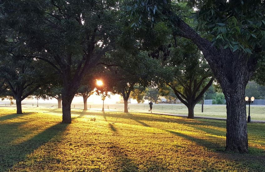 Meteorologia. Termómetros voltam a estar acima dos 20 graus esta segunda-feira