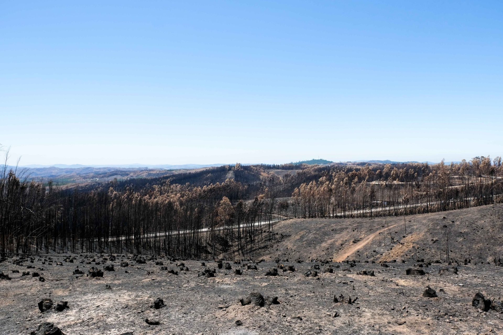 Incêndios 2017. Presidente da Câmara Municipal de Pedrógão Grande constituído arguido