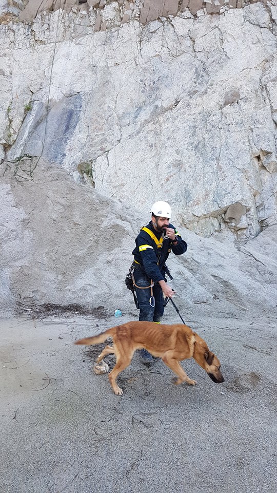 Vila do Conde. Bombeiros resgatam cão de escarpa | Vídeo