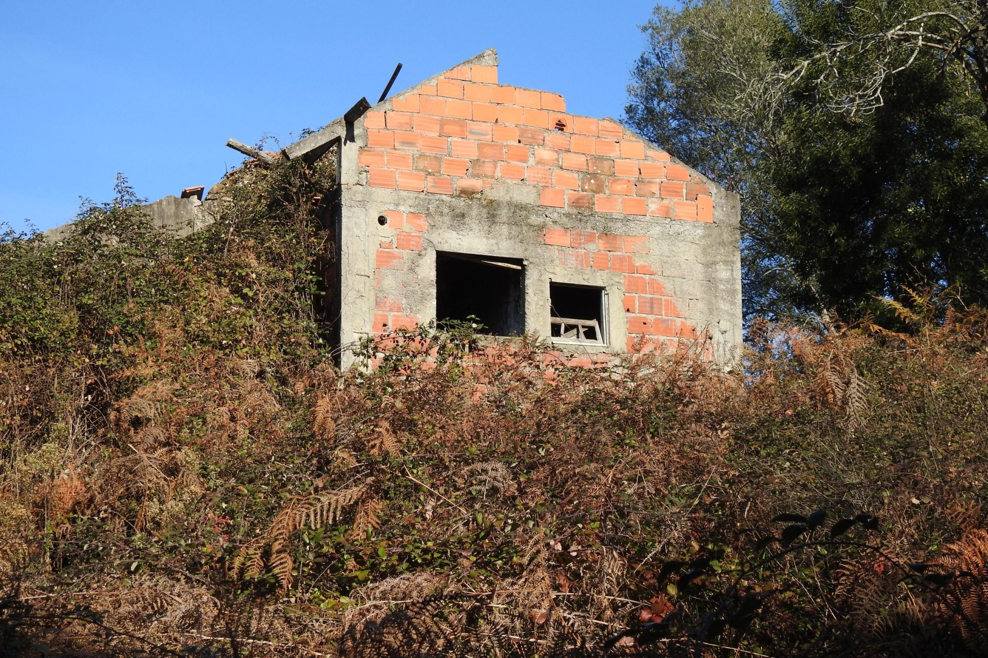 Câmara de Braga avança com Ecoparque das Sete Fontes