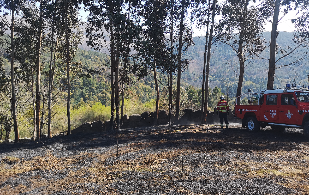 Detido por fogo florestal em Vieira do Minho