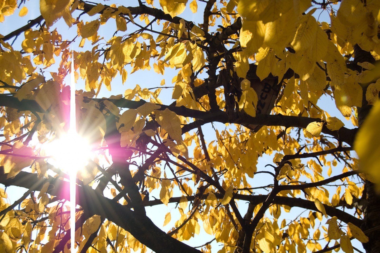 Temperaturas de primavera marcam o início da semana