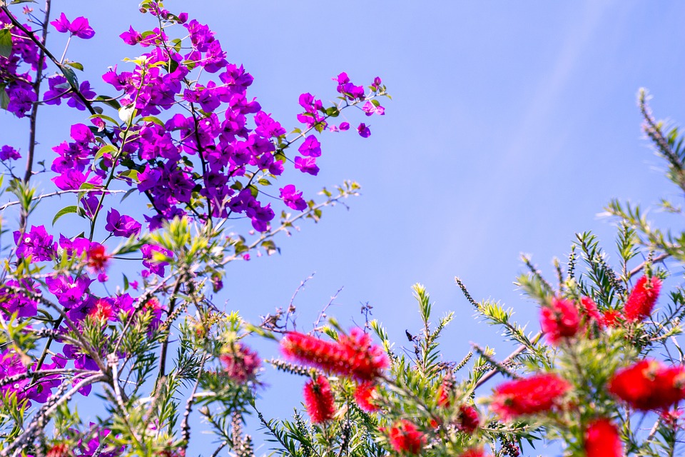 Bom tempo continua no primeiro dia de Primavera