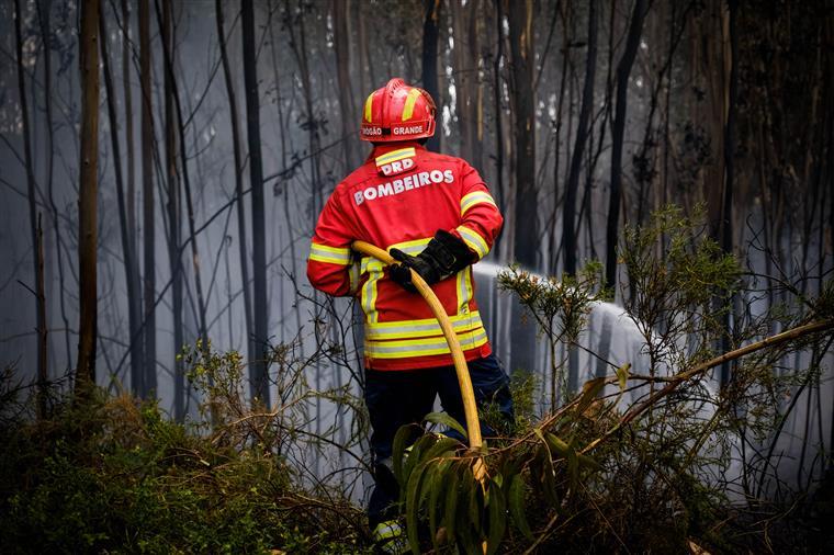 Barcelos. Mais de oitenta operacionais combatem incêndio de grandes dimensões