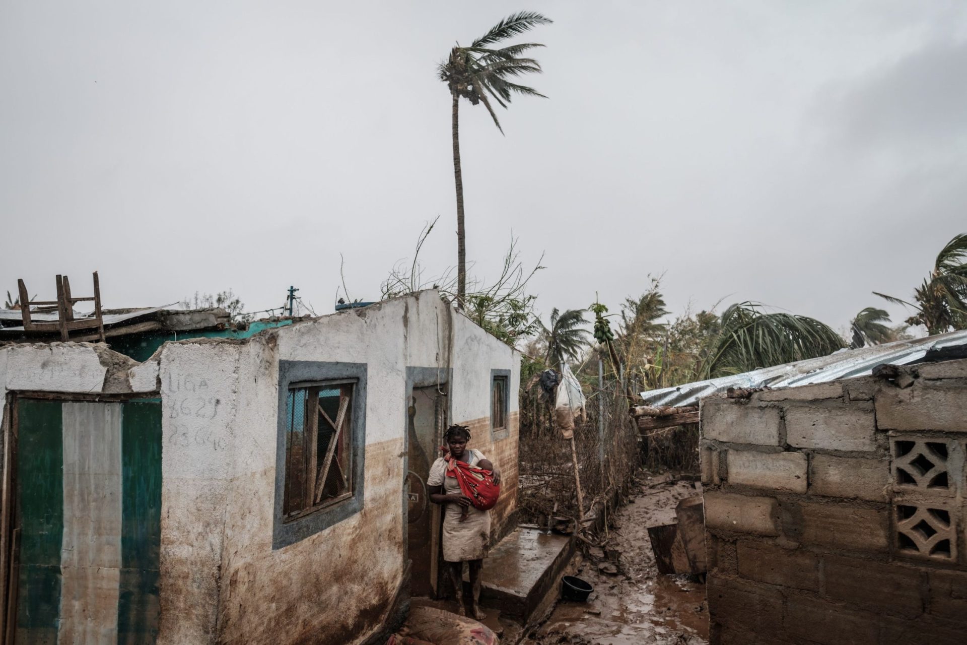 Sobe para 446 o número de mortos em Moçambique