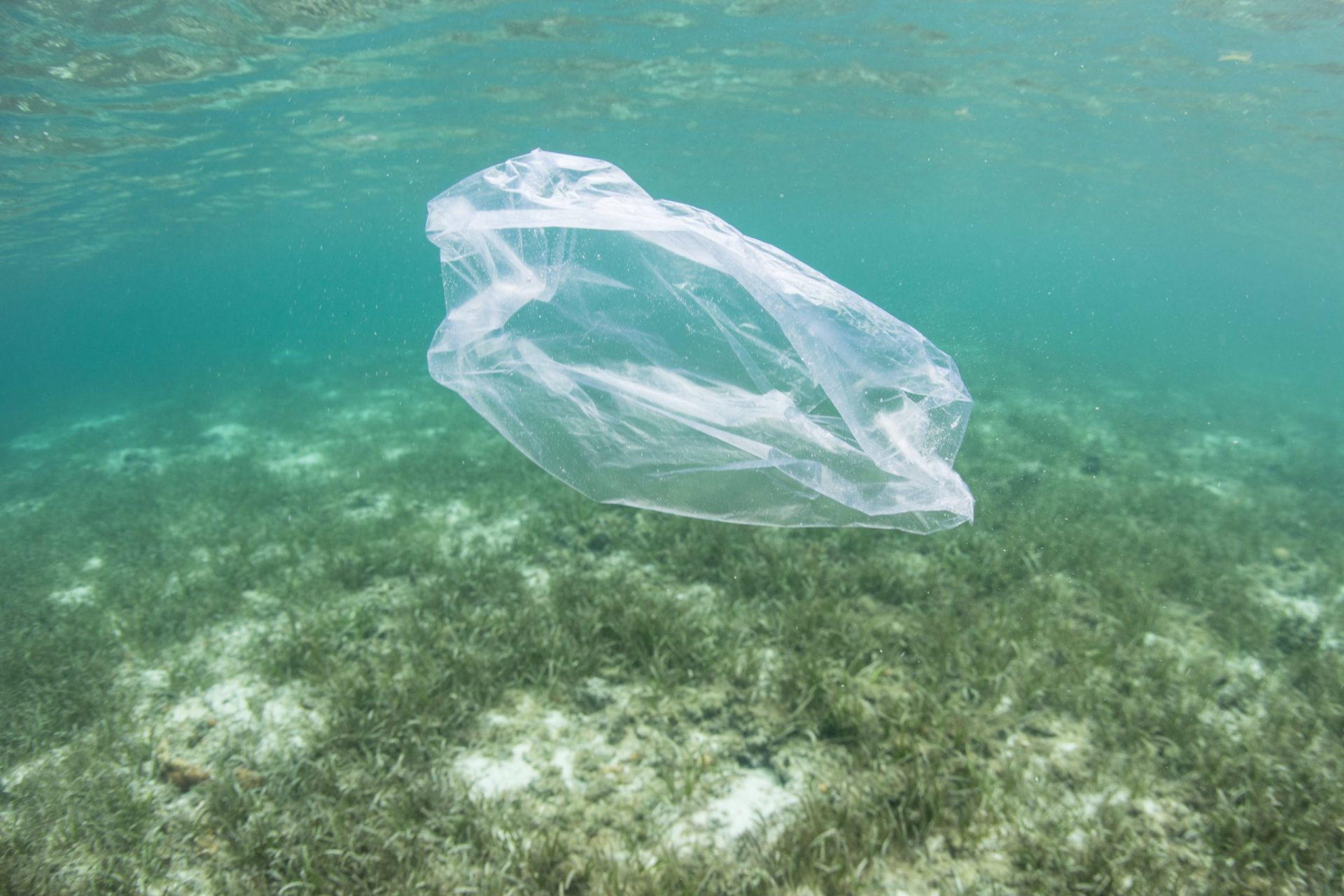 &#8220;Planeta ou Plástico?&#8221; A próxima National Geographic Summit quer acabar com o desperdício