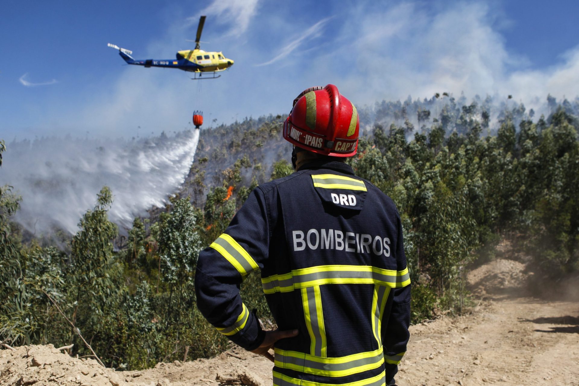 Chamas em Oliveira de Azeméis intensificam-se devido ao vento forte