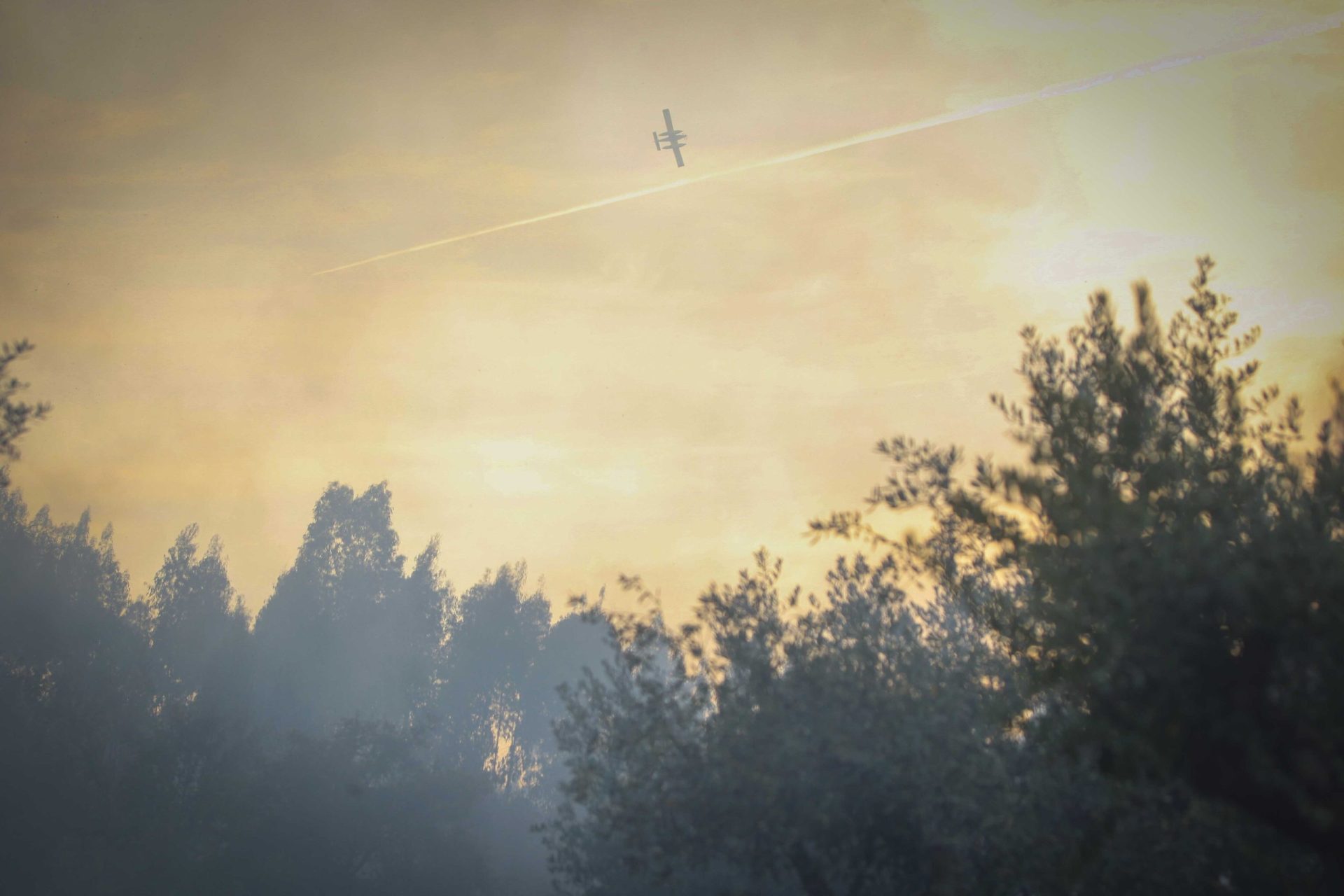 Incêndio que lavravra numa zona de mato em Pombal já está em fase de rescaldo