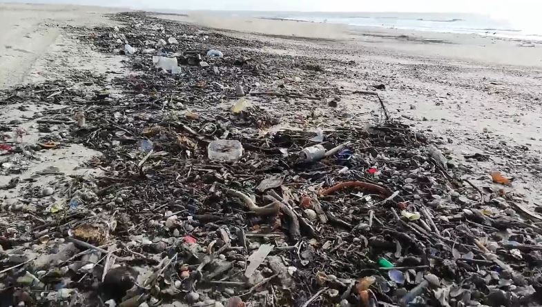 Praia em Cabanas de Tavira está coberta de lixo | Vídeo