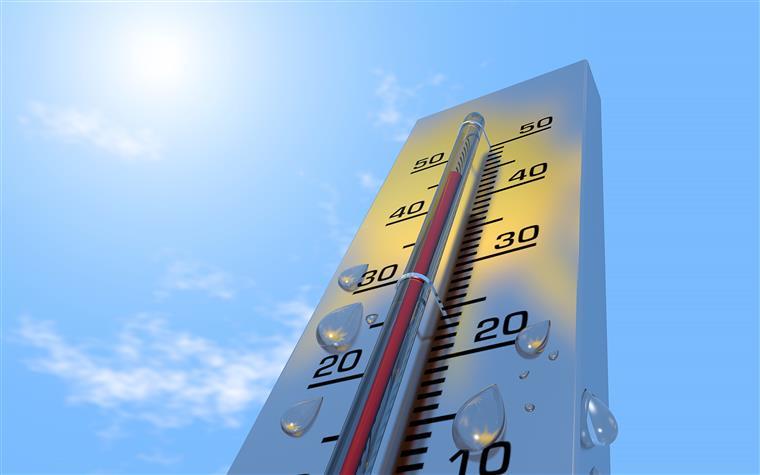 Temperaturas atingem os 27 graus esta segunda-feira. Há oito concelhos em risco muito elevado de incêndio