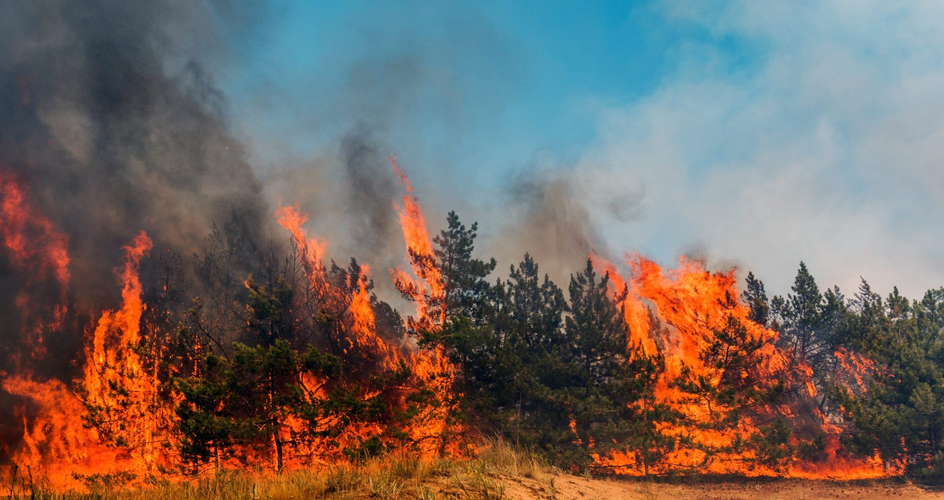 Perigo de incêndio rural até domingo