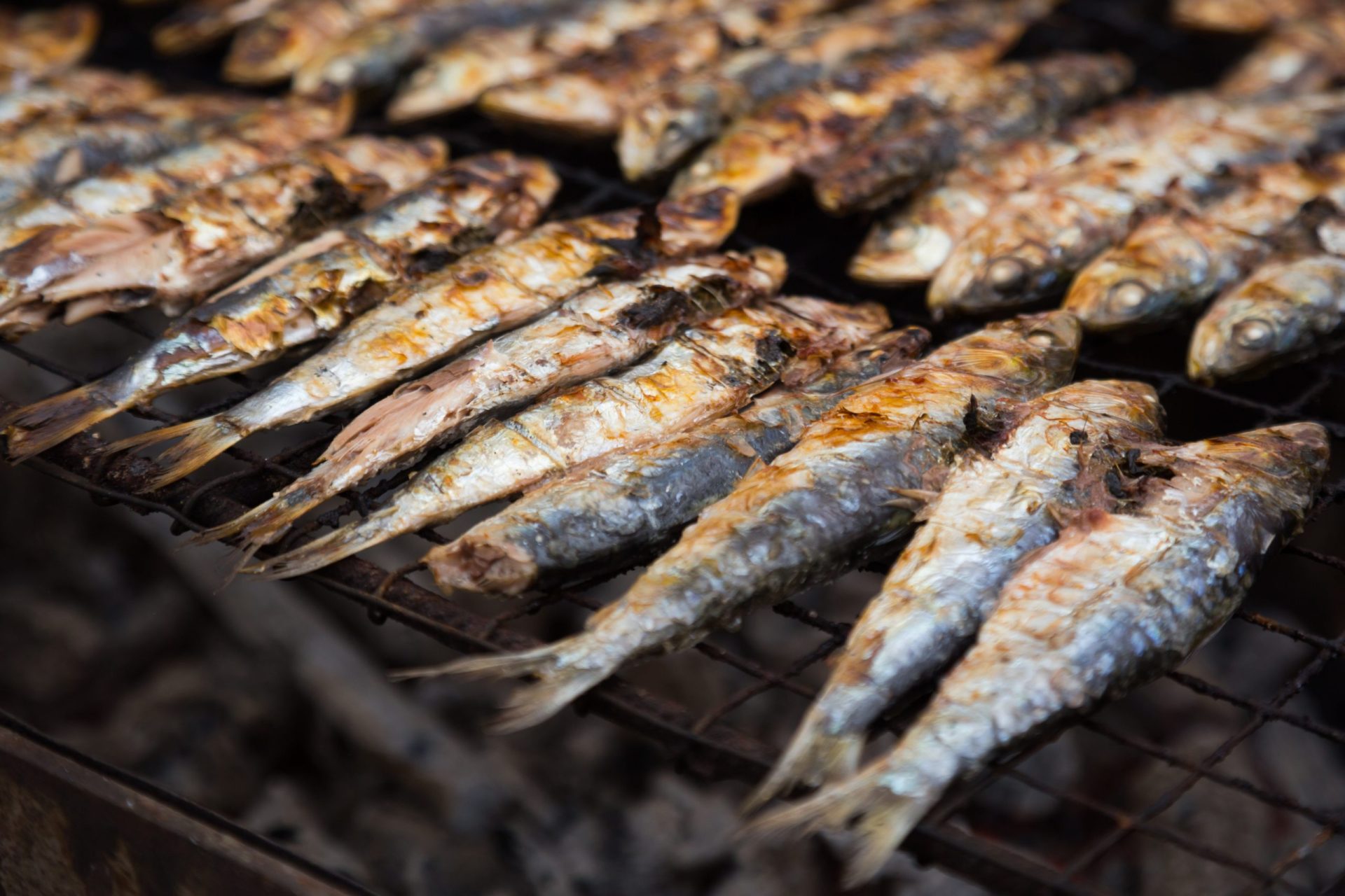 Pesca da sardinha. Portugal vai ter de “apertar o cinco”