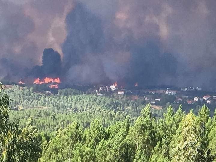 20 feridos em incêndios em Vila de Rei, Mação e Sertã