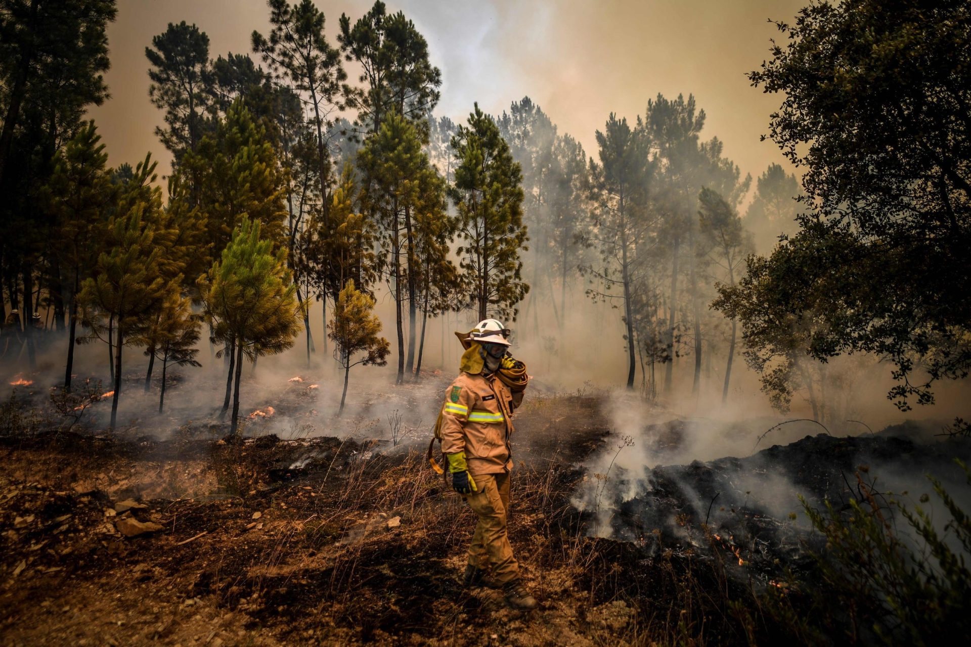 Vila de Rei e Mação. 90% do incêndio está em fase de resolução