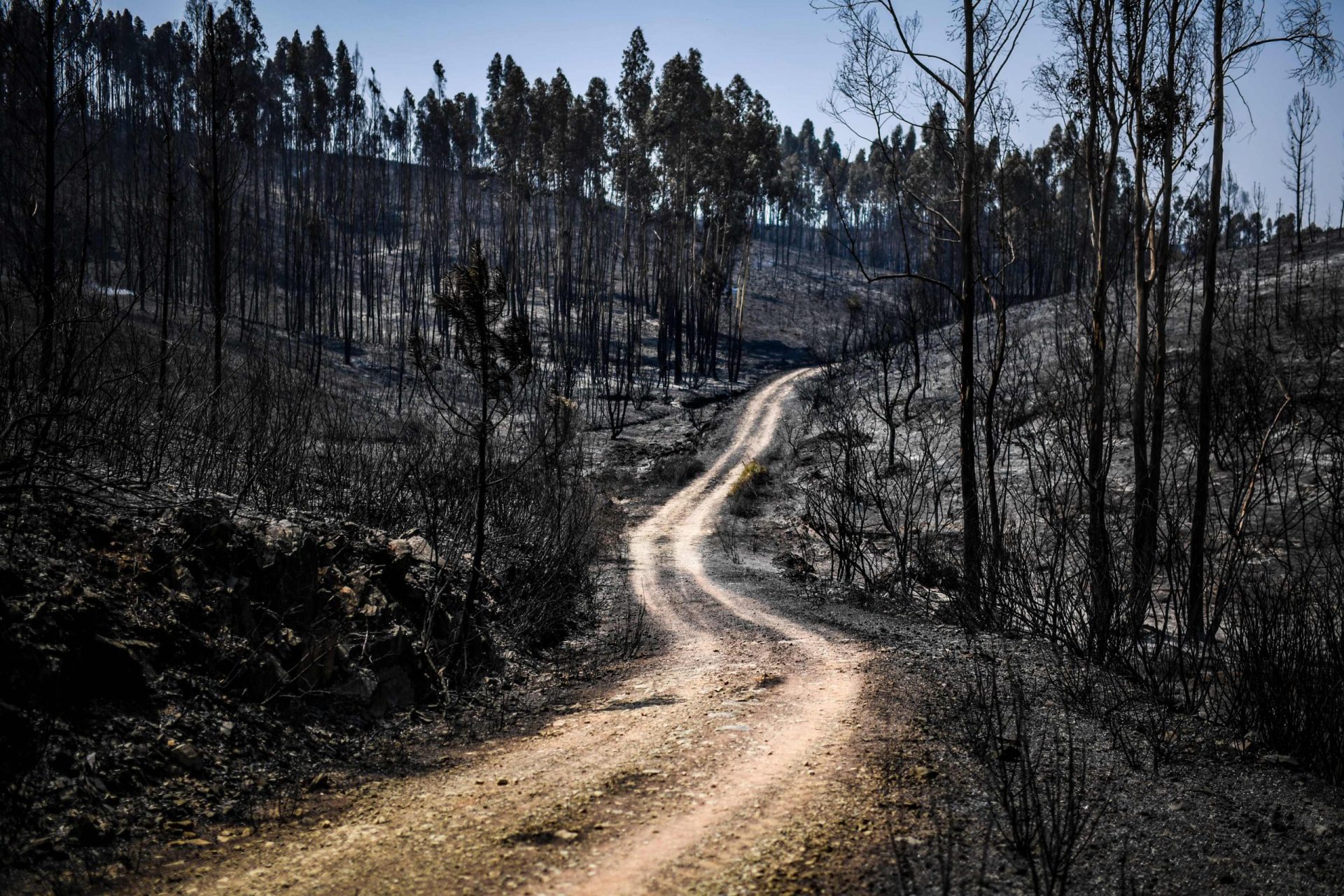 Vila de Rei e Mação. Incêndio “está dominado”