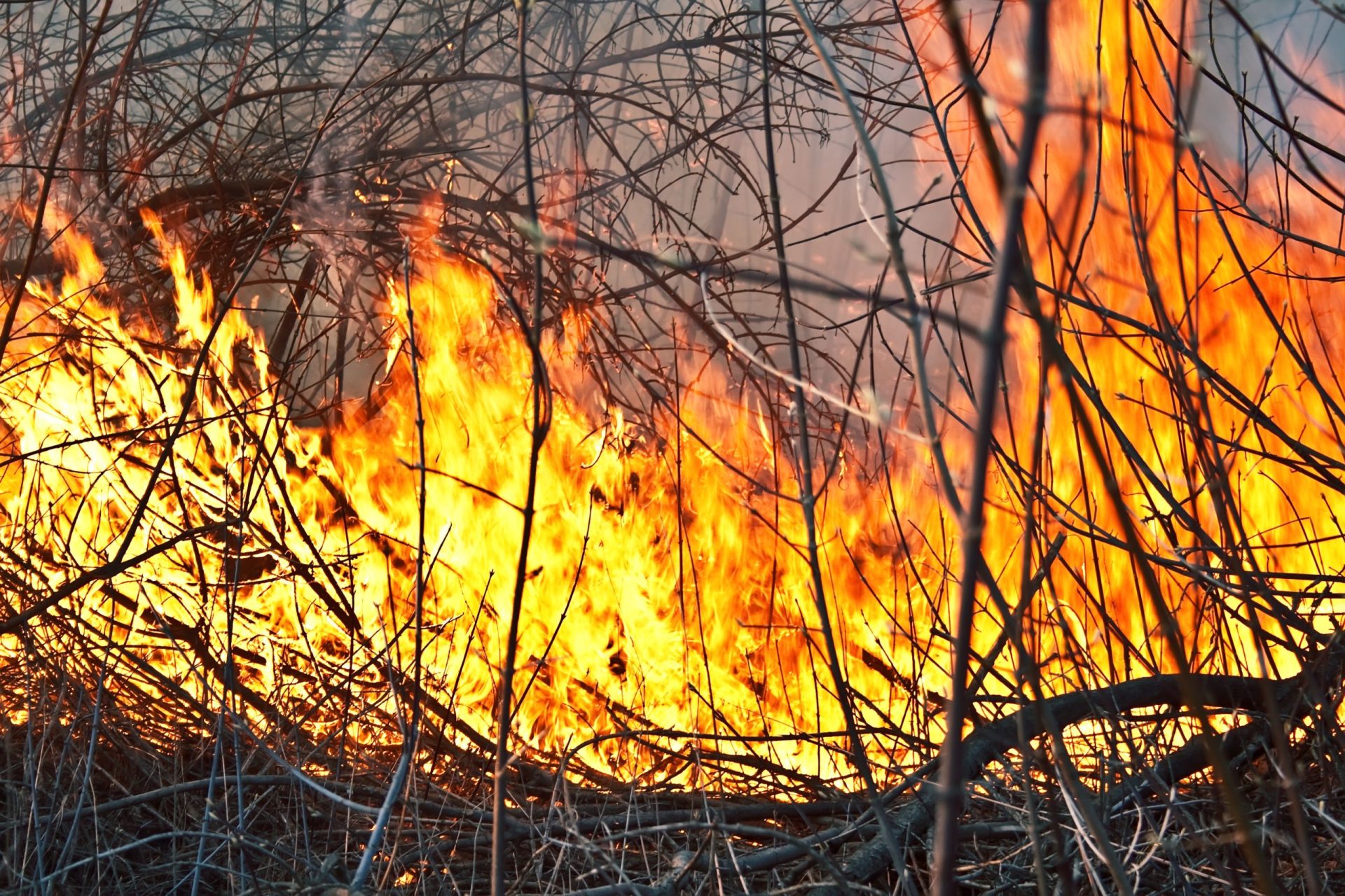 Proteção Civil emite aviso de perigo de incêndio rural